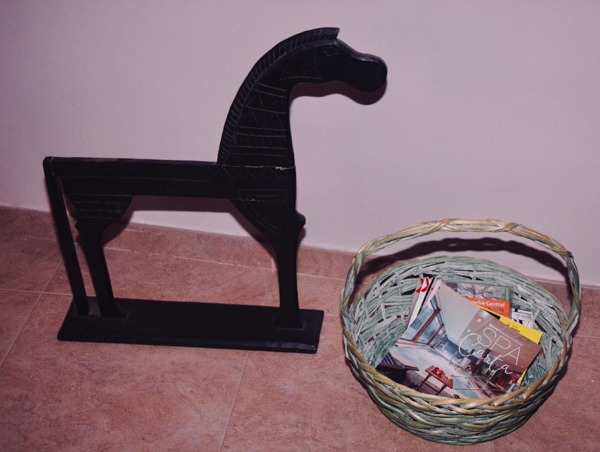 Apartamento Vista Al Ara Aínsa Dış mekan fotoğraf